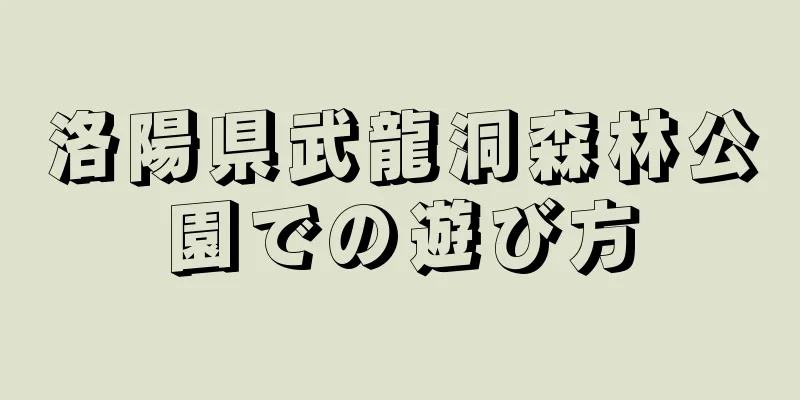洛陽県武龍洞森林公園での遊び方