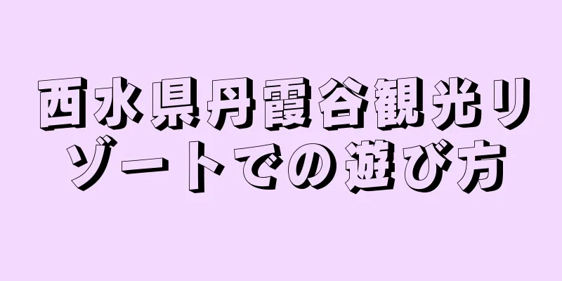 西水県丹霞谷観光リゾートでの遊び方