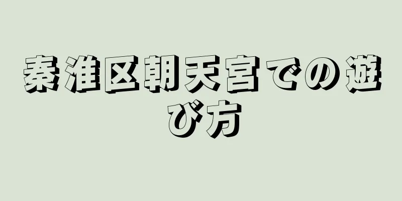 秦淮区朝天宮での遊び方