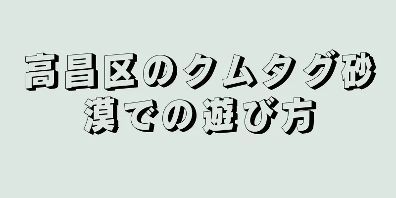 高昌区のクムタグ砂漠での遊び方