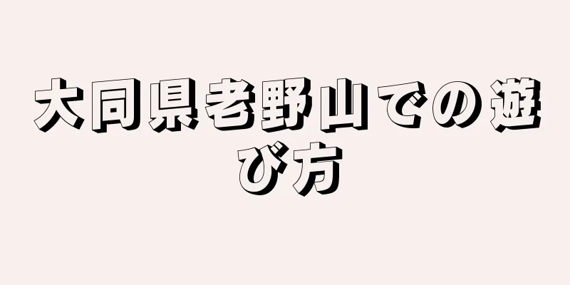 大同県老野山での遊び方