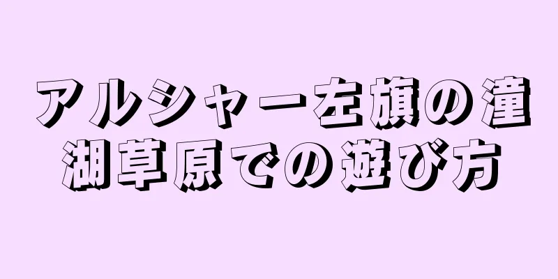 アルシャー左旗の潼湖草原での遊び方