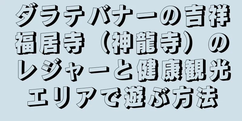 ダラテバナーの吉祥福居寺（神龍寺）のレジャーと健康観光エリアで遊ぶ方法