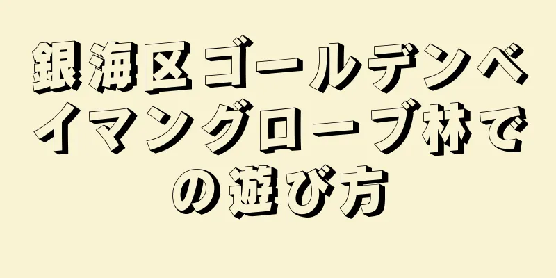 銀海区ゴールデンベイマングローブ林での遊び方