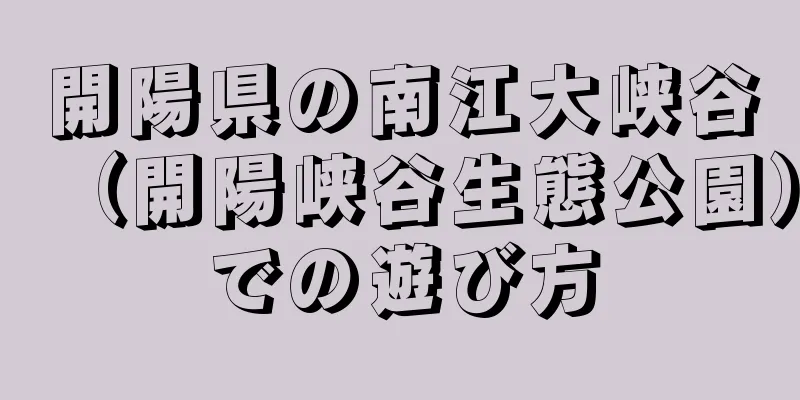 開陽県の南江大峡谷（開陽峡谷生態公園）での遊び方