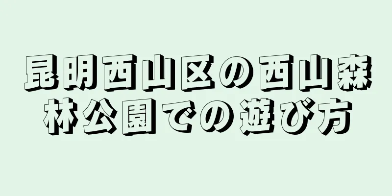 昆明西山区の西山森林公園での遊び方