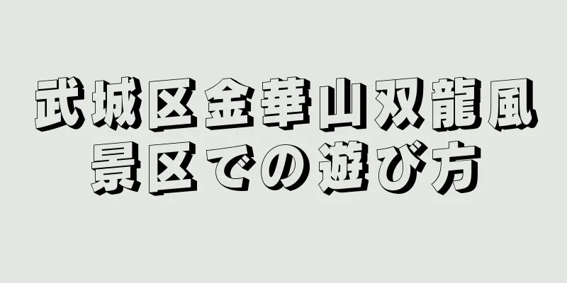 武城区金華山双龍風景区での遊び方
