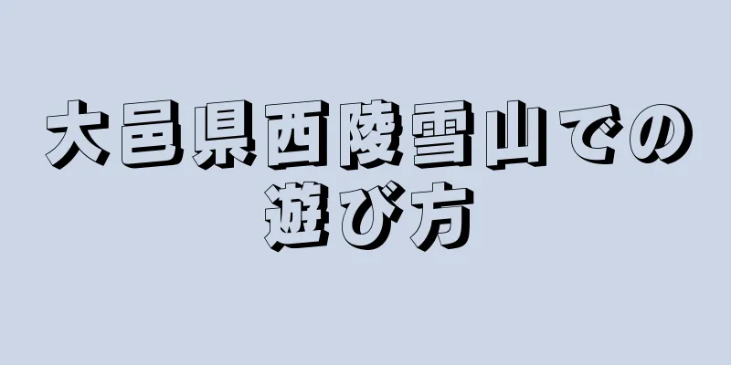 大邑県西陵雪山での遊び方