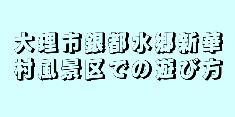 大理市銀都水郷新華村風景区での遊び方
