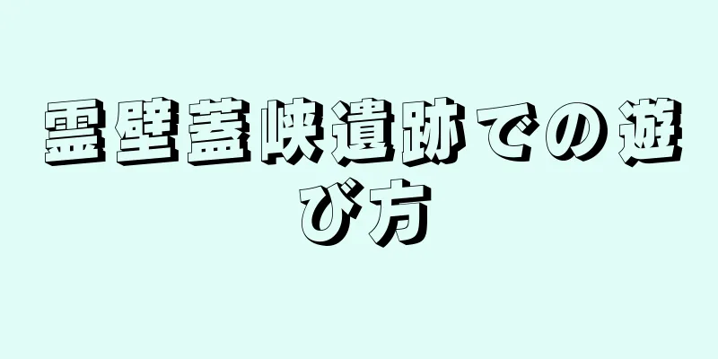 霊壁蓋峡遺跡での遊び方