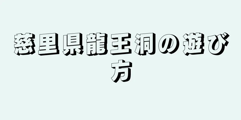 慈里県龍王洞の遊び方