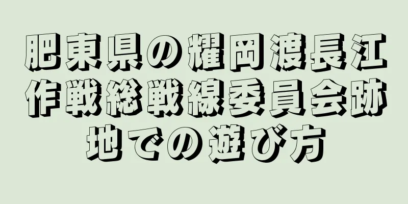 肥東県の耀岡渡長江作戦総戦線委員会跡地での遊び方