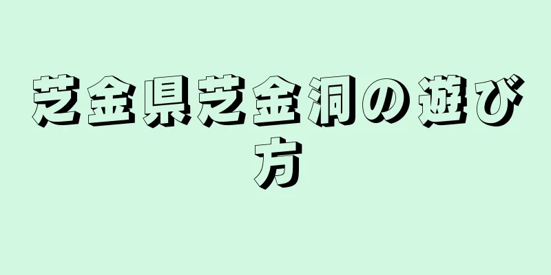 芝金県芝金洞の遊び方