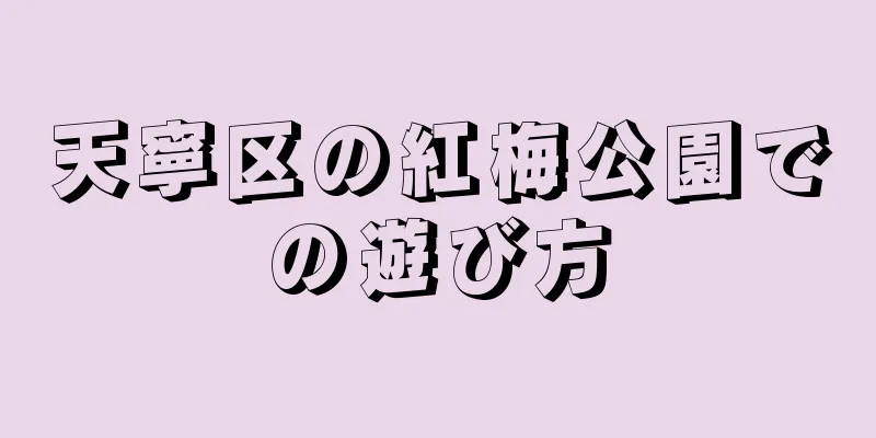 天寧区の紅梅公園での遊び方