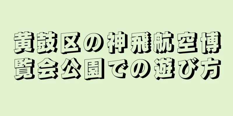 黄鼓区の神飛航空博覧会公園での遊び方