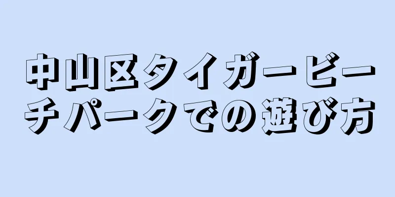 中山区タイガービーチパークでの遊び方