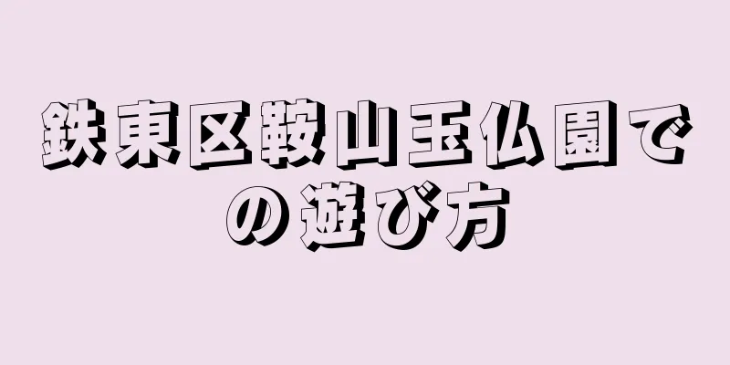 鉄東区鞍山玉仏園での遊び方