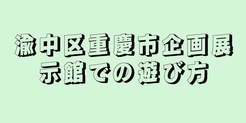 渝中区重慶市企画展示館での遊び方