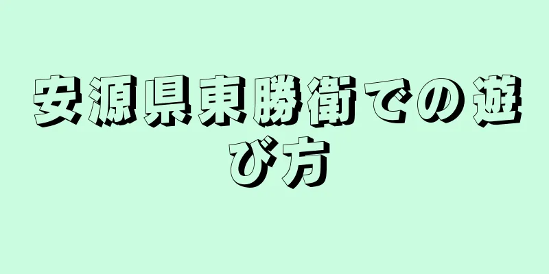 安源県東勝衛での遊び方