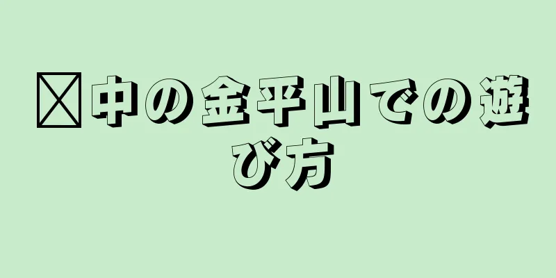 閬中の金平山での遊び方