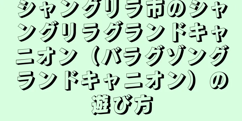 シャングリラ市のシャングリラグランドキャニオン（バラグゾングランドキャニオン）の遊び方