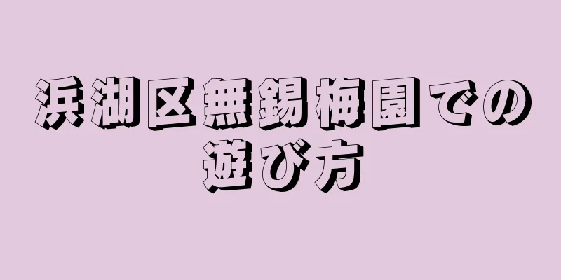 浜湖区無錫梅園での遊び方