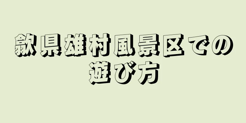 歙県雄村風景区での遊び方