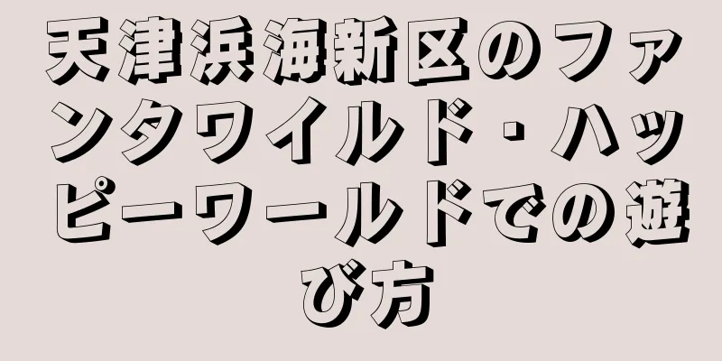 天津浜海新区のファンタワイルド・ハッピーワールドでの遊び方