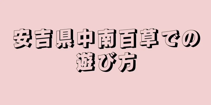 安吉県中南百草での遊び方