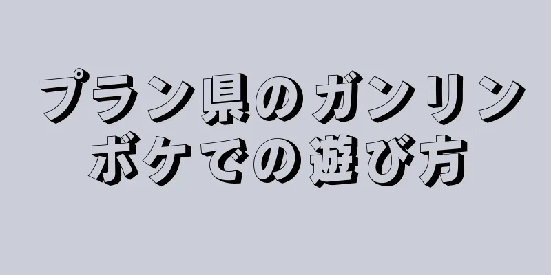 プラン県のガンリンボケでの遊び方