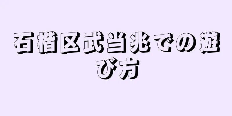 石楷区武当兆での遊び方