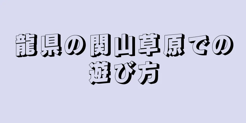 龍県の関山草原での遊び方