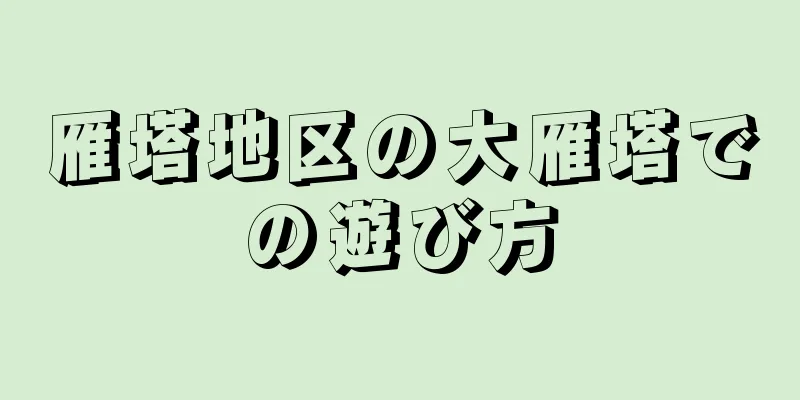 雁塔地区の大雁塔での遊び方