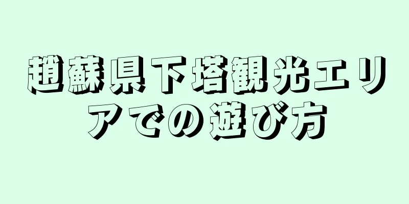 趙蘇県下塔観光エリアでの遊び方