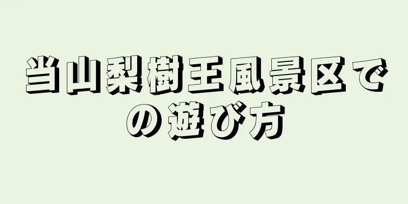 当山梨樹王風景区での遊び方