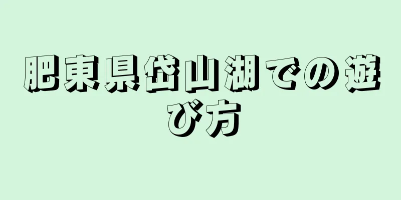 肥東県岱山湖での遊び方