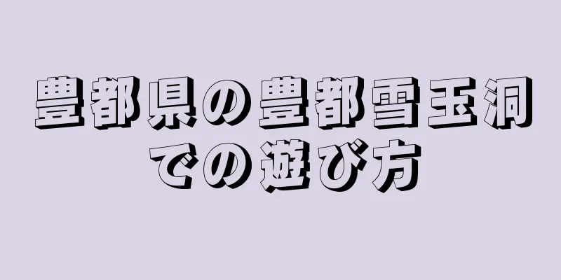 豊都県の豊都雪玉洞での遊び方