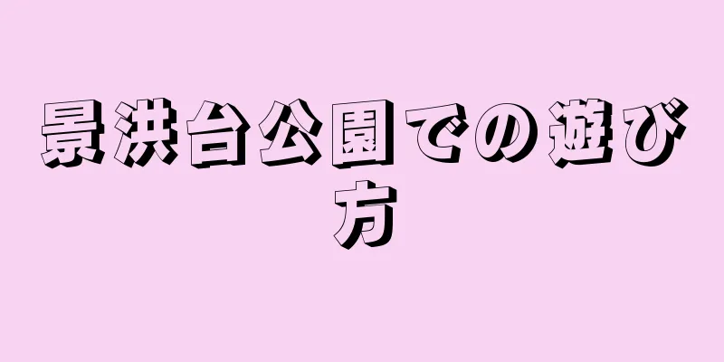 景洪台公園での遊び方