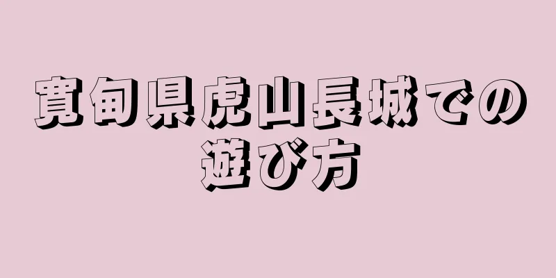 寛甸県虎山長城での遊び方