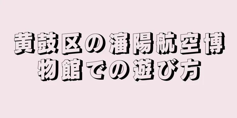 黄鼓区の瀋陽航空博物館での遊び方
