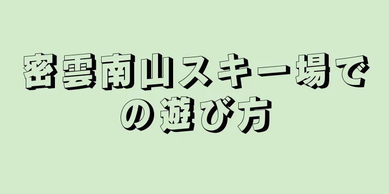 密雲南山スキー場での遊び方