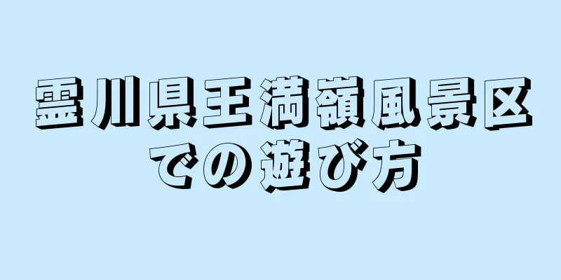 霊川県王満嶺風景区での遊び方