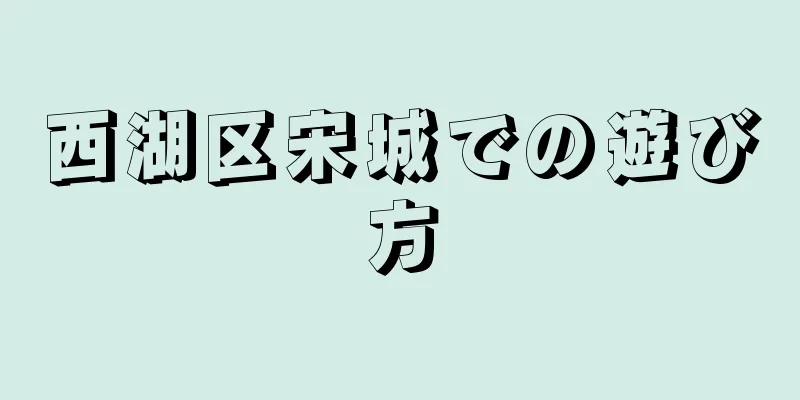 西湖区宋城での遊び方