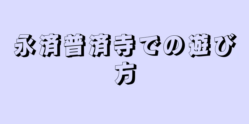 永済普済寺での遊び方
