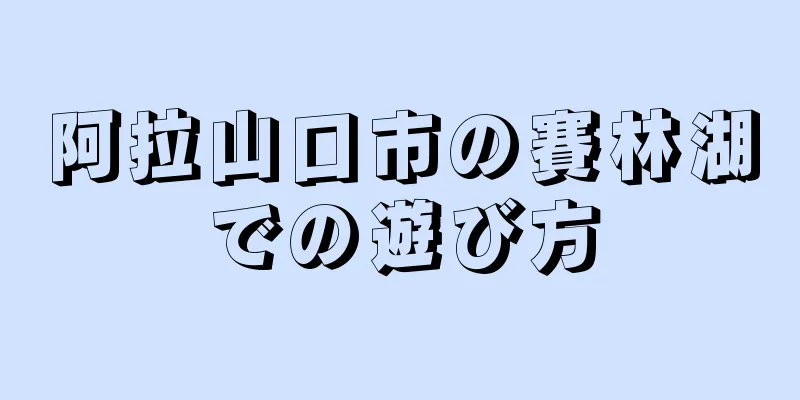 阿拉山口市の賽林湖での遊び方