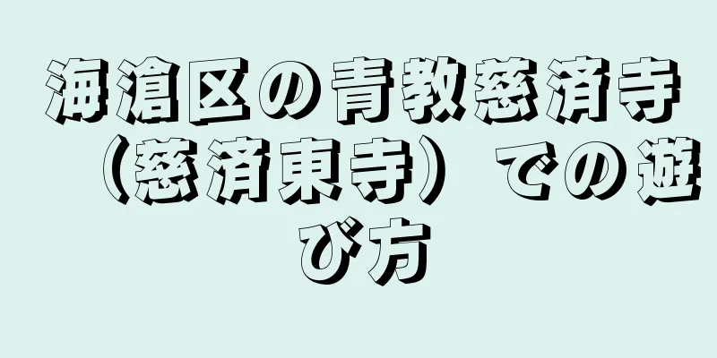 海滄区の青教慈済寺（慈済東寺）での遊び方