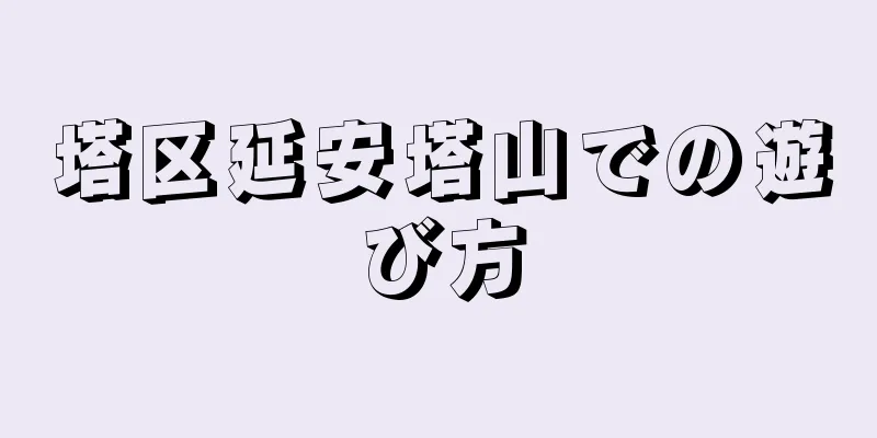 塔区延安塔山での遊び方