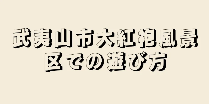 武夷山市大紅袍風景区での遊び方