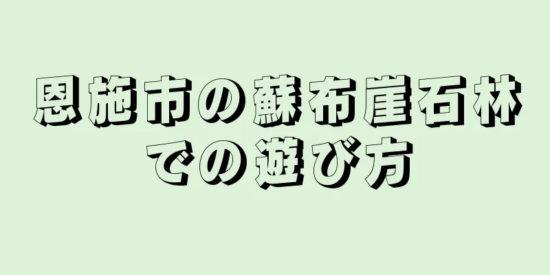 恩施市の蘇布崖石林での遊び方