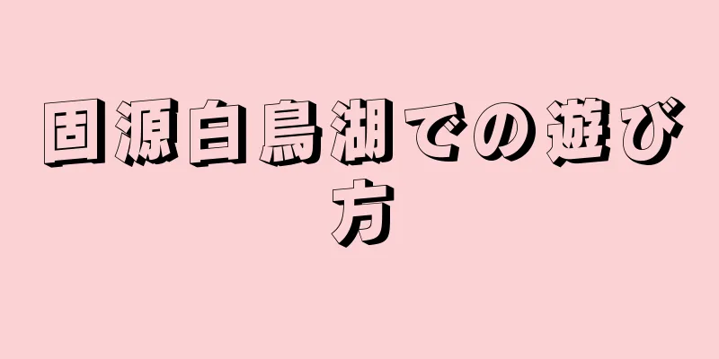 固源白鳥湖での遊び方